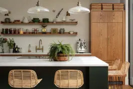 Amelia McNeil Interior Design